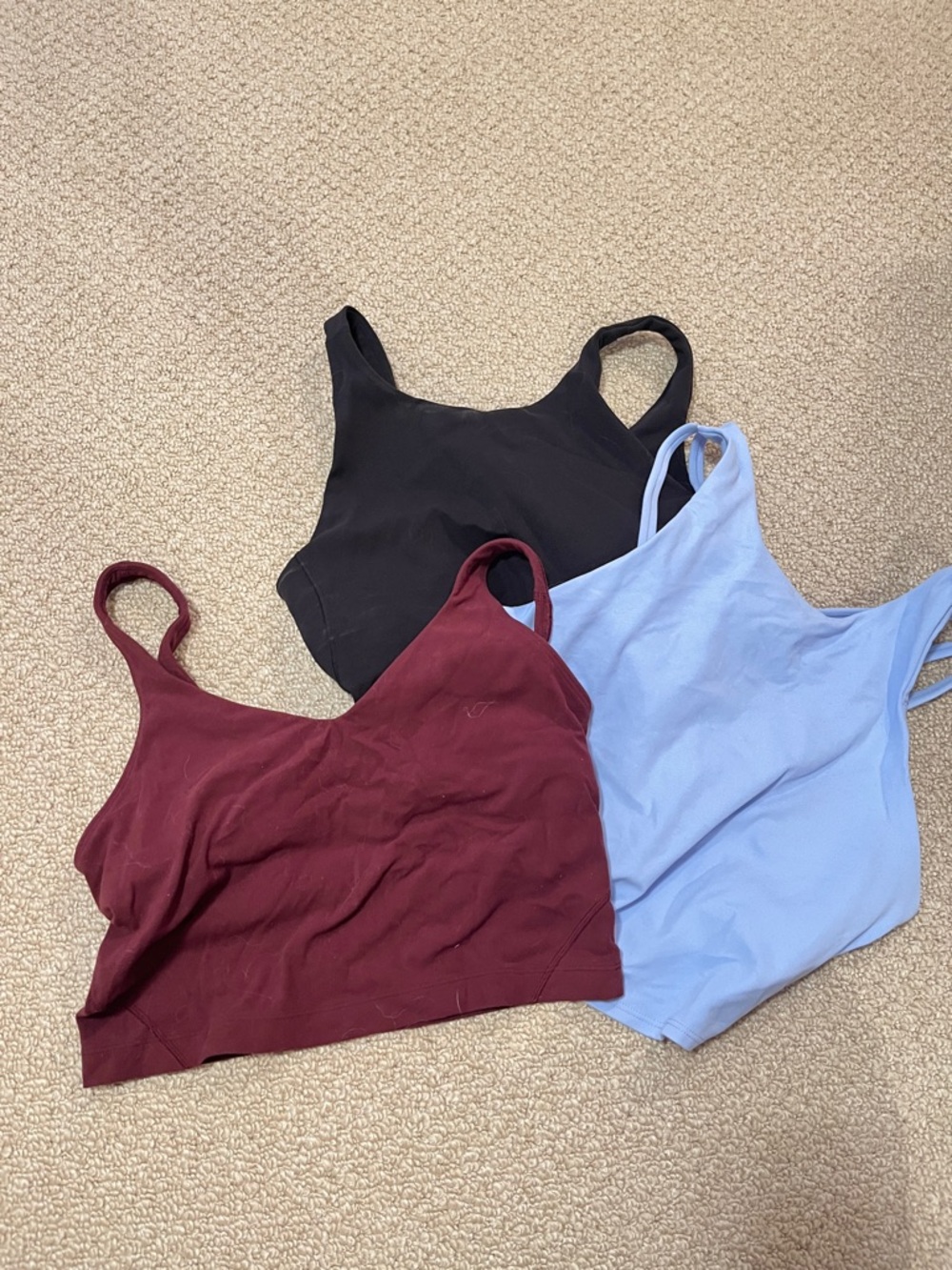 Everyday Seamless Bralette Trio - Black, Burgundy, Light Blue